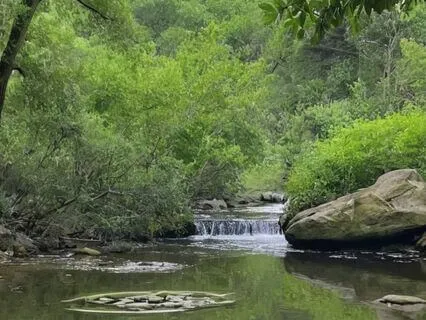 Celestial Pulse – 7.83 Hz