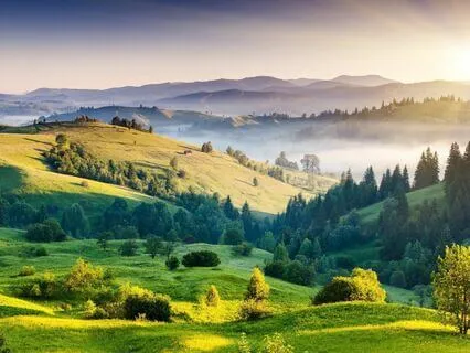 Celestial Quantum: Binaural Piano Music