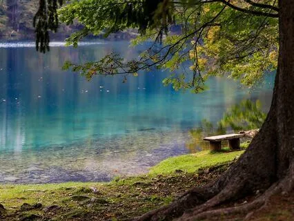 Celestial Reflections: A Voyage To Tranquil Dreams