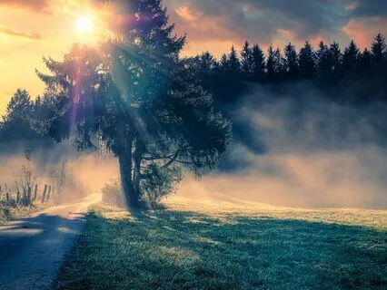 Celestial Vibrations | Morning Meditation Music