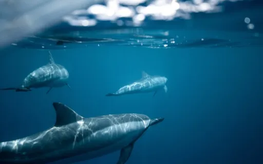 Cell Purification (852Hz)