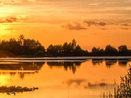 Cell Regeneration & Stress Management With Alpha Waves