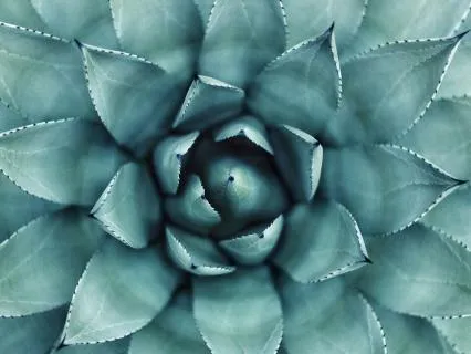 Cell Renewal: 285 Hz Healing Frequency