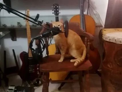 Cello Deep Breathing Meditation 