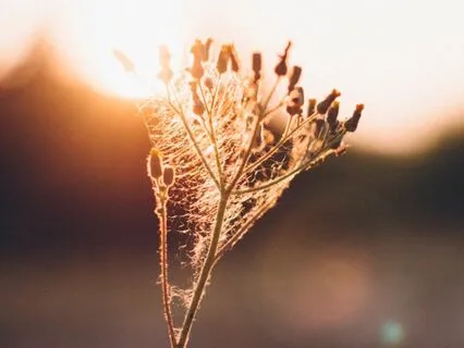 The Art Of Letting Go