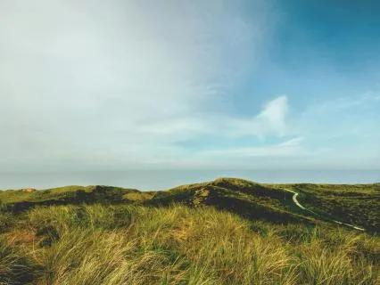 Cello Om (Mindfulness Meditation)