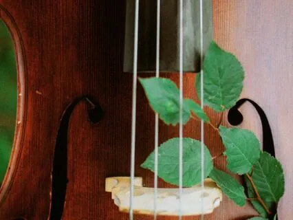 Cello With Rain (Short Version)