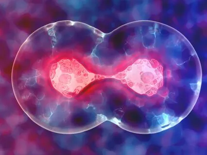 Cells Are Listening Talk To Them