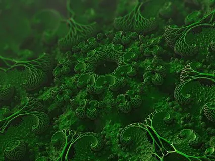 Cellular Attunement To Success