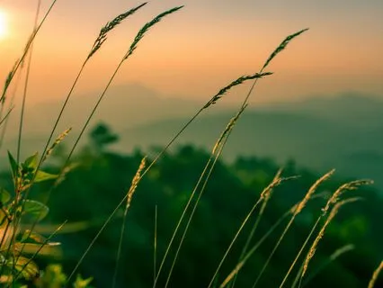 Cellular Breathing For Relaxation