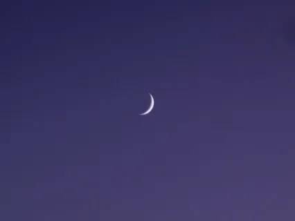 Cellular Harmony Soundscape : Tuning Into 174 Hz