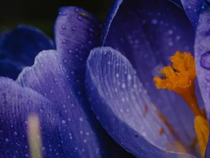 Cellular Healing Meditation