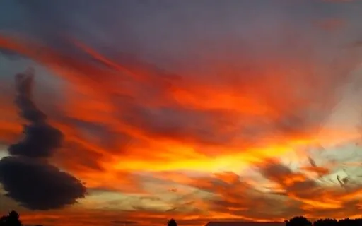 Cellular Imprinting ~ Serenity Wellness Podcast ~ E65