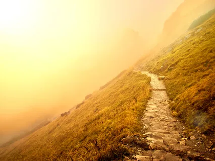 Cellular Upgrade (Inner Expression Remix)