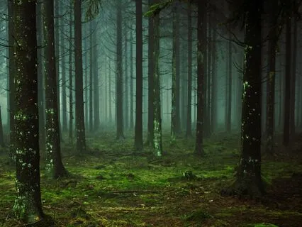 Celtic Dreams: A Journey to Inner Stillness