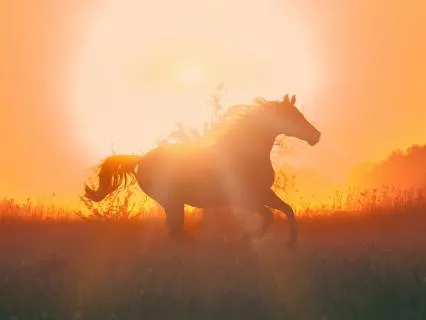 Celtic Goddess Of Horses: Find Yourself Meditations