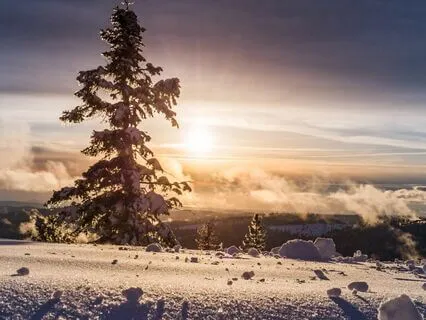 Celtic Harp Serenity: Relax And Refresh With Winter Bliss