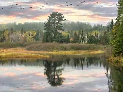 Celtic Inspired, Eerily Beautiful Relaxation & Inspirational Music