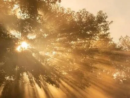 Center In Your Energy