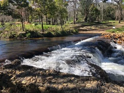 Center Your Mind, Empower Your Life