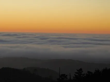 Center Yourself And Get Present