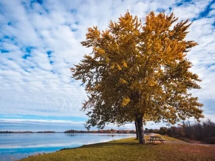 Centered In The Love Of God - A Practical Prayer