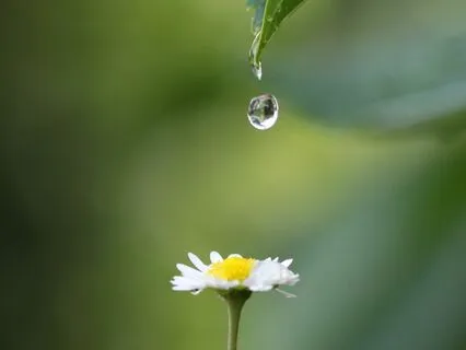 Centering Breath: A Mindfulness Meditation