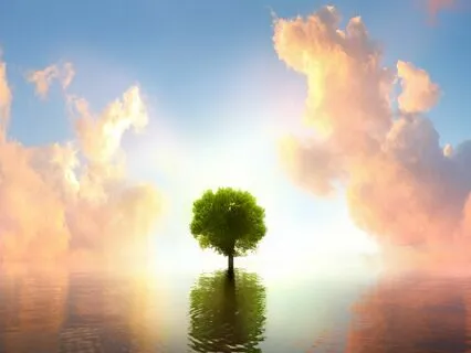 Centering Breath Meditation