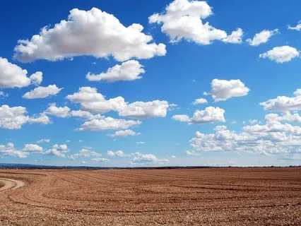 Centering Buddhist Practice On Equanimity