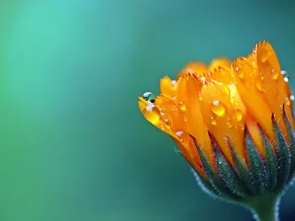 Centering, Healing Practice (Short Version)