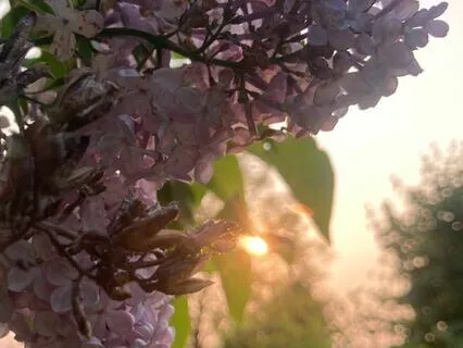 Centering In All Levels Of Being