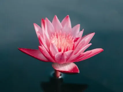 Centering In Intentions