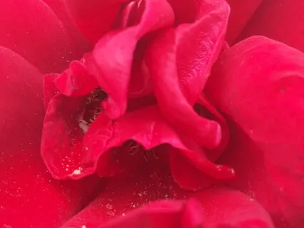 Centering In Uncertainty