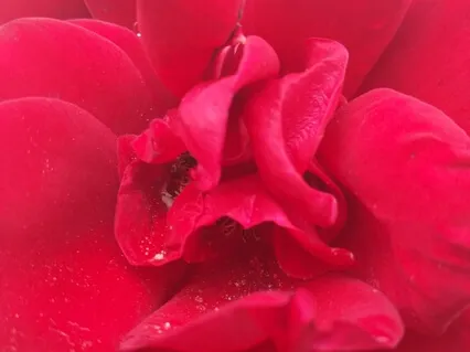 Centering In Your Artist Heart