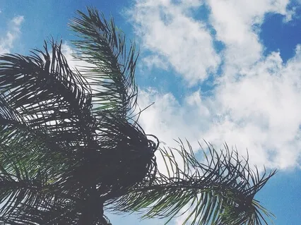  Centering Meditation