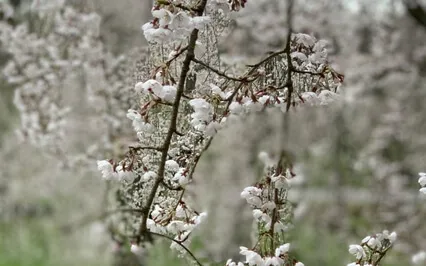 Centering Meditation