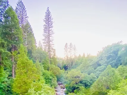 Centering Mind + Body