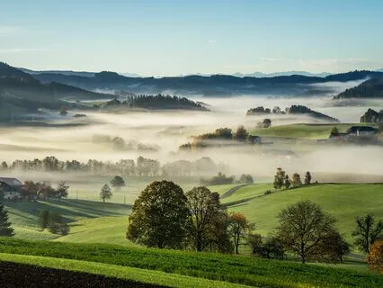 Centering Pause: Reconnect & Rebalance - Meditation 82