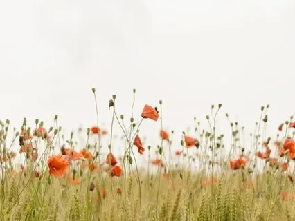 Centering Prayer - The Fruit of the Spirit (Galatians 5)