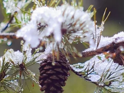 Centering Prayer Theory