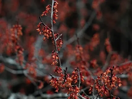 Centering Prayer With Marc Shaw