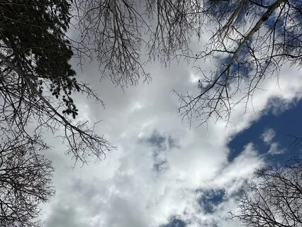 Central Channel Connection To Earth And Sky Meditation