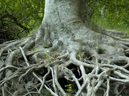 Central Channel Practice - Light Energy Rising Upwards