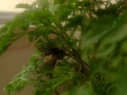 Centre Your Energy To Take It Forward Into Your Day