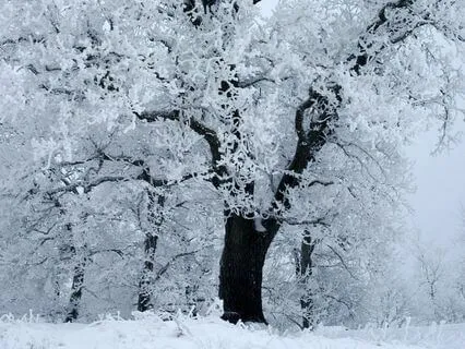 Centrerad För Balans Och Lugn