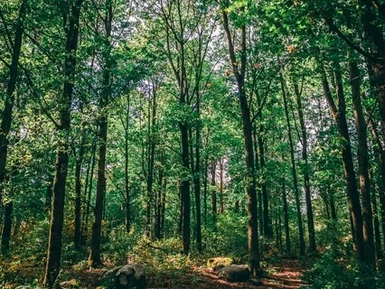 Chair Grounding Meditation