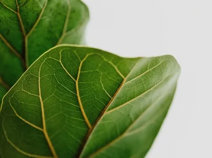 Chair Yoga For The Workplace