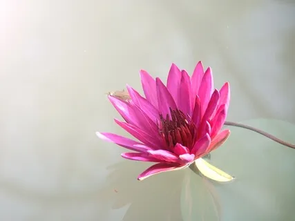 Chakra Activation Meditation