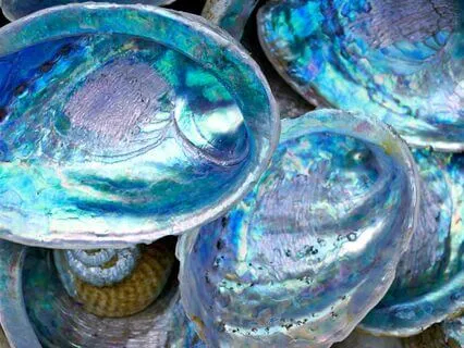 Chakra Advanced Bhastrika Breathwork : With Affirmations