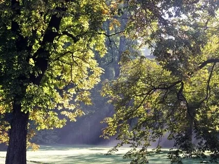 Chakra Alignment Practice